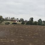 Profile Picture of juli.aholmquist (@juli.aholmquist) on Instagram