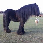 Profile Picture of Declan Kavanagh (@declan.kavanagh.908) on Instagram