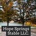 Profile Picture of Hope Springs Stable (llc) (@Hope-Springs-Stable) on Facebook