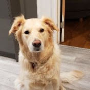 Profile Picture of Andrew Austin (@andrewaustin9090) on Youtube