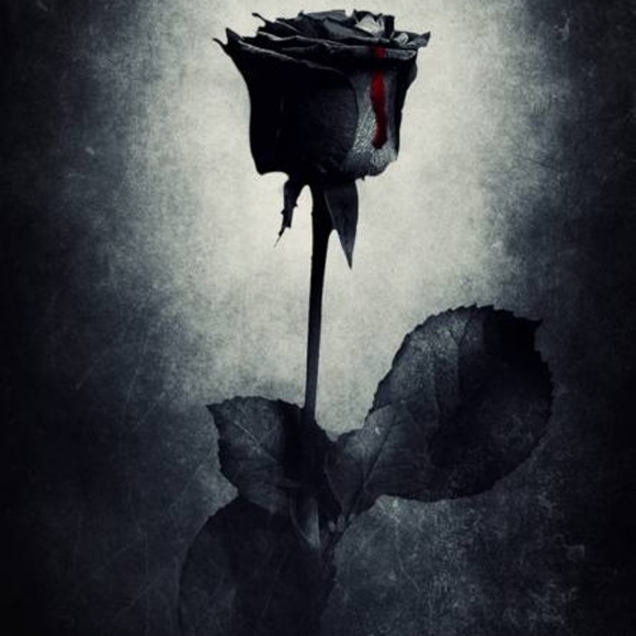 Profile Picture of Lucina Rodriguez (@lucina_marie) on Poshmark