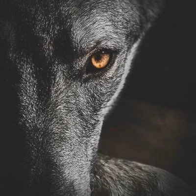 Profile Picture of BEN ÇEBİ (@bencebi61) on Twitter