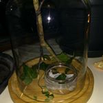 Profile Picture of PeterTak!! (@peter.wandelende.tak.xx) on Instagram