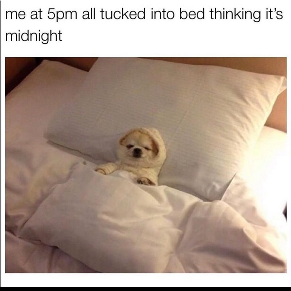 Profile Picture of Lisa Hanauer (@lisa_hanauer) on Poshmark