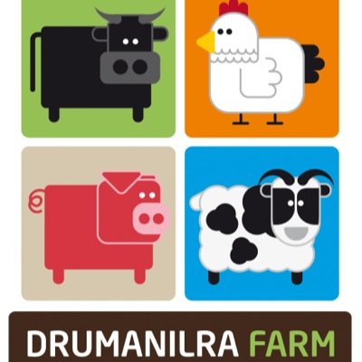 Profile Picture of Drumanilra Farm (@drumanilra) on Twitter