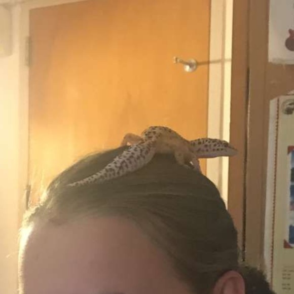 Profile Picture of Laasya Hammerstrom (@tkdodogirl057) on Poshmark