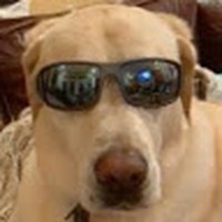 Profile Picture of Jake Sauer (@jake-sauer-14) on Quora