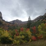 Profile Picture of Bryan Brimhall (@bryanbrimhall) on Instagram