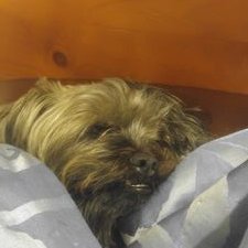 Profile Picture of Derrick Floyd (@DerrickFloyd10) on Twitter