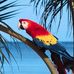Profile Picture of Robert Mulcahy (@robert.mulcahy.376) on Facebook
