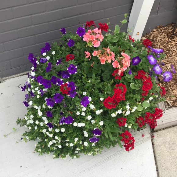 Profile Picture of Jan Lemerise (@pbjan) on Poshmark