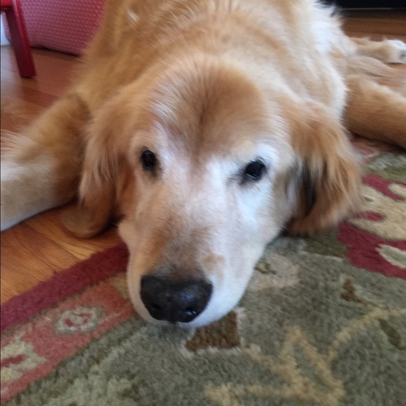 Kelly Sarandis - Poshmark Profile Picture of Kelly Sarandis (@kellysarandis) on Poshmark