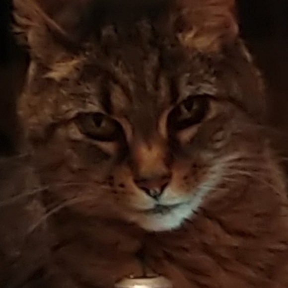 Kim Savage - Poshmark Profile Picture of Kim Savage (@jksavage14) on Poshmark