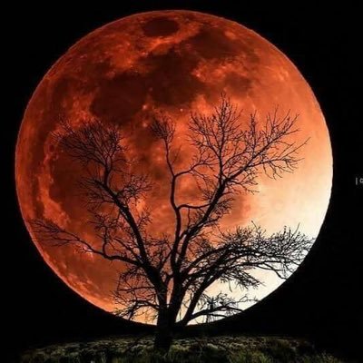 Profile Picture of Mary Birch (@bmombirchx5) on Twitter