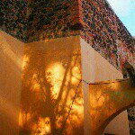 Profile Picture of Luis Chagoya Reyes (@langel1953) on Instagram