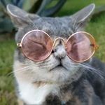 Profile Picture of Kevin Clause (@clouse725) on Instagram