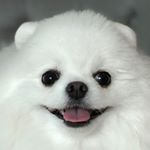 Profile Picture of 김주은 • 金主恩 (@june_kim) on Instagram