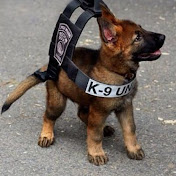 Profile Picture of Alex Apple (@alexapple8743) on Youtube