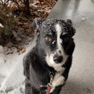 Profile Picture of Dan Stencel (@djstencel) on Twitter