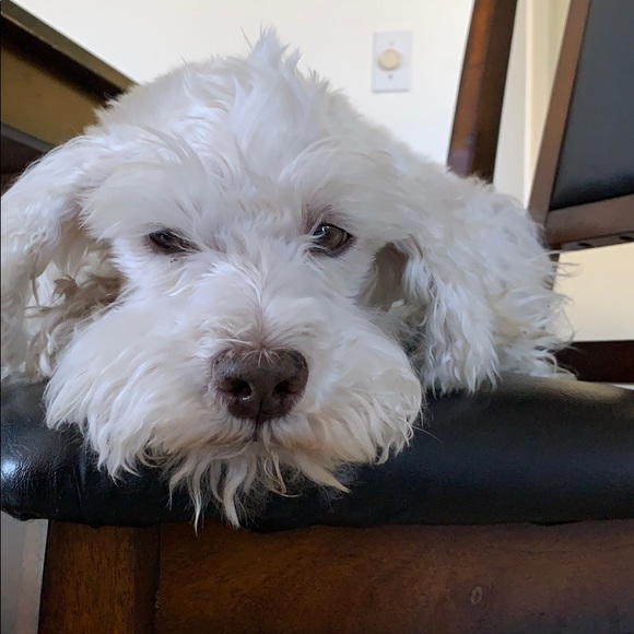 Profile Picture of Chiemi Takada (@takatcrkd) on Poshmark