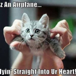 Melissa Caine - Myspace Profile Picture of Melissa Caine (@lissa913) on Myspace