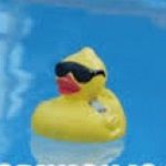 Profile Picture of Xavier Day-Liebelt (@xavier_rex_21) on Instagram