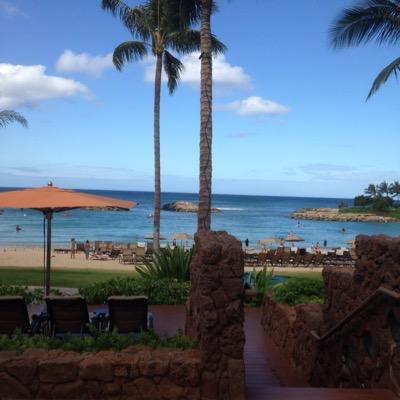 Profile Picture of Cathy Allen (@cathyallen0303) on Twitter