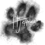 Profile Picture of Hannah Jeffries 🦖 (@hjeffries_designs) on Instagram