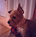 Profile Picture of Debra Mcnally (@debra.mcnally.79) on Facebook