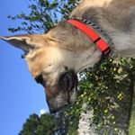 Profile Picture of Kevin Hartwell (@kevinhartwell1) on Instagram