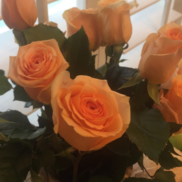 Profile Picture of Stella Nicholas (@stellanicholas) on Poshmark