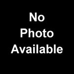 Profile Picture of Devin Chung (@dev_chung) on Instagram