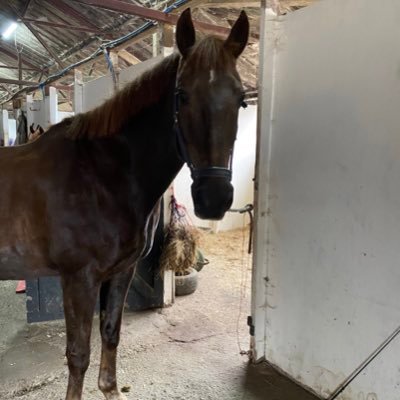 Profile Picture of Dawn Botley (@BotleyDawn) on Twitter