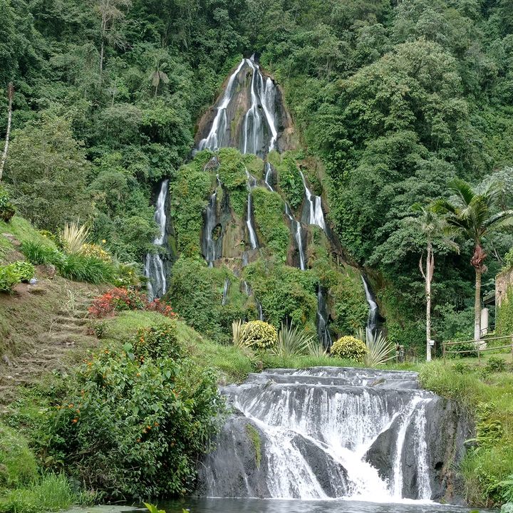 Profile Picture of Steve Gonzalez (@stevegonzalez182) on Tiktok