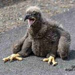 Profile Picture of Jeremy (@__jeremy.slade__) on Instagram