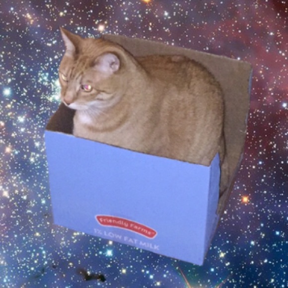 Profile Picture of Nora Weaver (@imnormal) on Poshmark