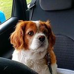 Profile Picture of Ernest Bates (@ernest.bates.3) on Instagram