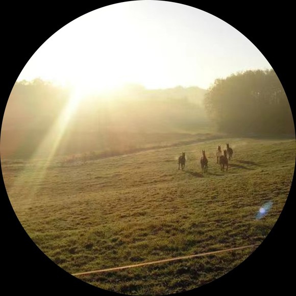 Profile Picture of Robert Carpenter (@robertcarpen178) on Poshmark