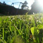 Profile Picture of Få den blåe knappen grønn (@den_lille_fotografen) on Instagram