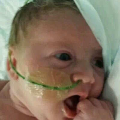 Profile Picture of Bradley Steward (@bradleystewardB) on Twitter