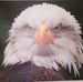 Profile Picture of Kenneth Graaf (@kenneth.graaf.90) on Facebook