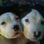 Profile Picture of Richard Wyer (@bilbo4044) on Instagram