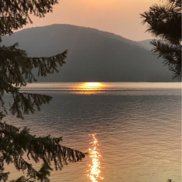 Profile Picture of Ely Hogberg (@elyhogberg) on Poshmark