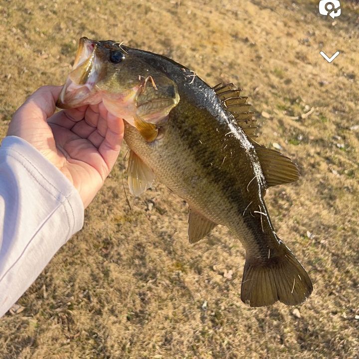 Profile Picture of user9678591916174 (@masonretzlaff) on Tiktok