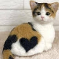 Profile Picture of Jacinta Kennedy (@jacinta-kennedy-7) on Quora