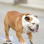 Profile Picture of James Hinton (@jameshinton2) on Instagram