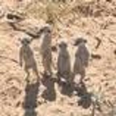 Profile Picture of Yolanda Espino (@yolandaegoista) on Twitter