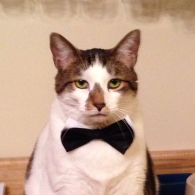 Profile Picture of Tami Wetzel (@EEE3) on Twitter