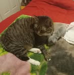 Profile Picture of Kim Forbes (@kim.forbes.161783) on Facebook