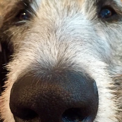 Profile Picture of Joe Heffernan (@JoeHeffernan77) on Twitter